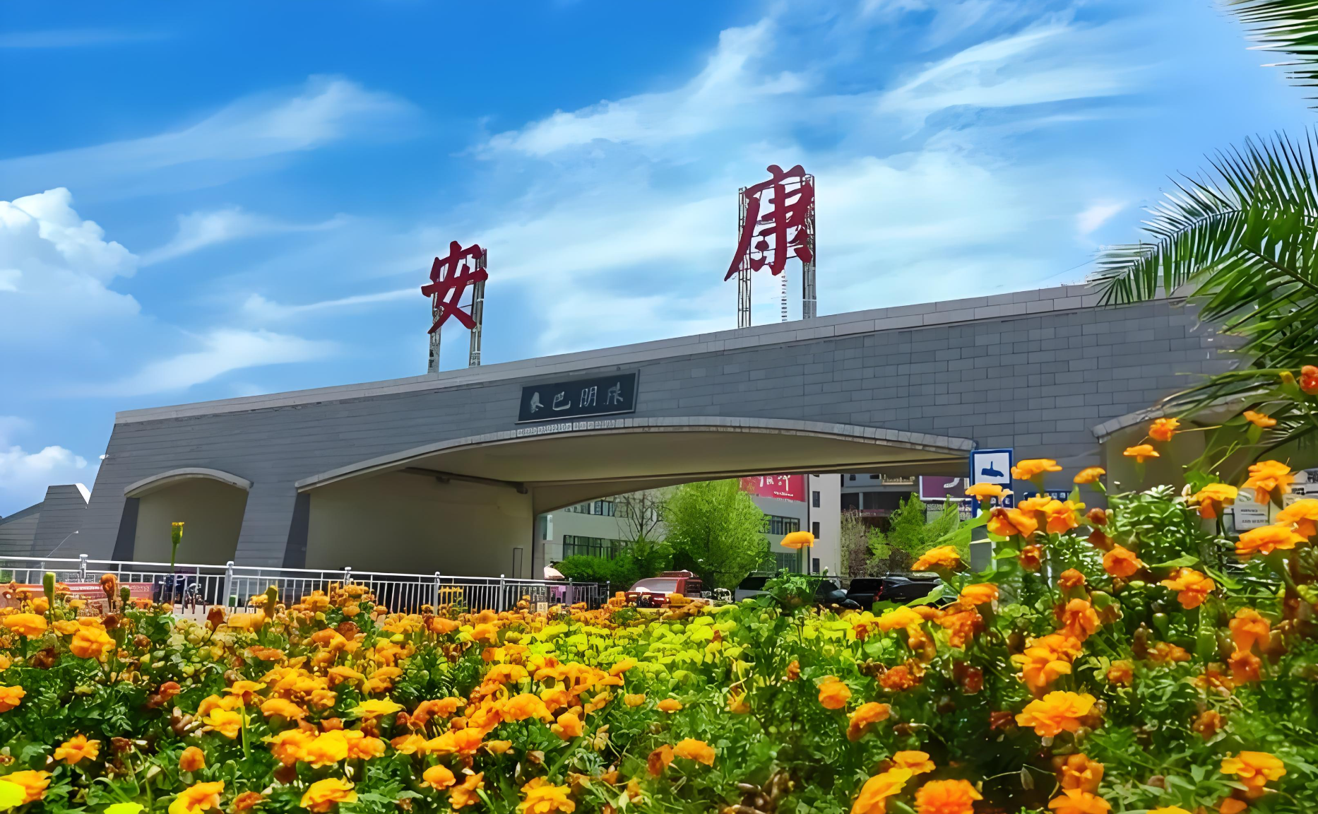 安康地区软件开发与小程序开发现状及发展前景